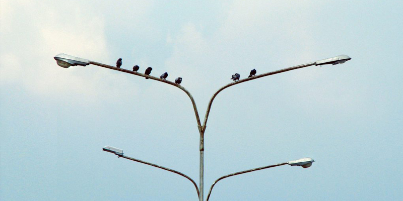 Sustainable Competitive Advantage | Aileron